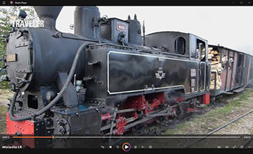 NGT1